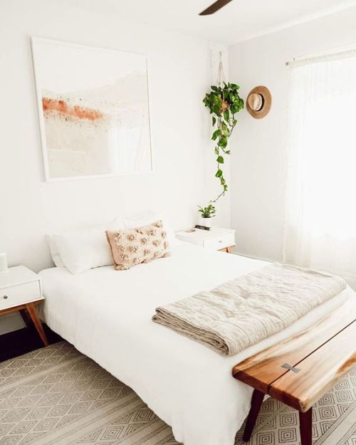 Home Inspo: Plantcesorize