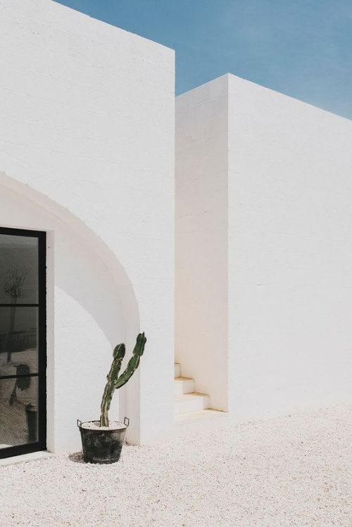 Architecture Daydream: Mid-Century Modern